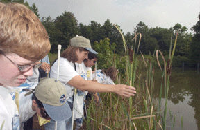 Campers learn to identify plants at Goddard Space Flight Center.   Left to right: Bryce Gitzen, Andrew Wai, Robin House, and Daisy Soto.
