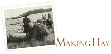 Making Hay