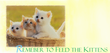 Remeber to Feed the Kittens