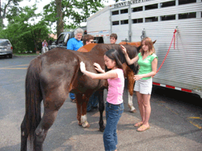 Anne gets to know a horse at the Doolittle event.