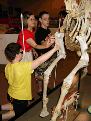 Two students look at the skeleton of a horse at the Naturalist Center during the 2004 Circle of Life.