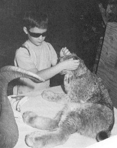 Picture of Karl Adams handling a stuffed lynx. (19876 bytes)