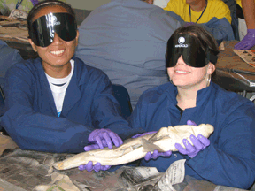 One of the short sessions for the week included the dissection of tiger sharks. Part of the goal of the Youth Slam was to show that science isn�t limited to the sighted, so everyone wore sleep shades for this session.
