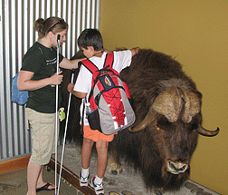 Mary Jo Thorpe and Nathan Stocking (MN) examine a Musk Oxen (the stuffed variety) during the field trip to North Bay Adventure in Cecil County, Maryland.