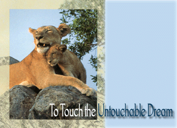 To Touch the Untouchable Dream
