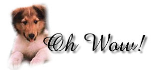 Oh Wow! with picture of puppy