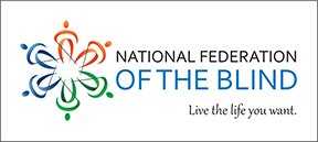 The rectangle version of the National Federation of the Blind logo with clear space outlined.