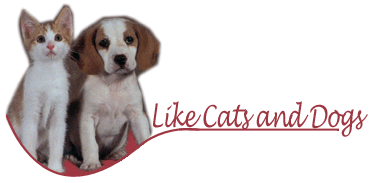 Like Cats and Dogs